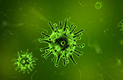 Virology in Barcelona