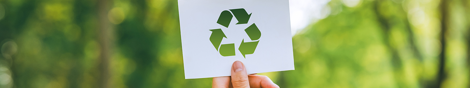 Critical skills and sustainability