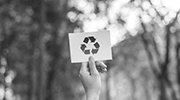 Critical skills and sustainability